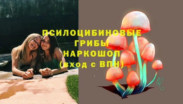 мяу мяу кристалл Алексин
