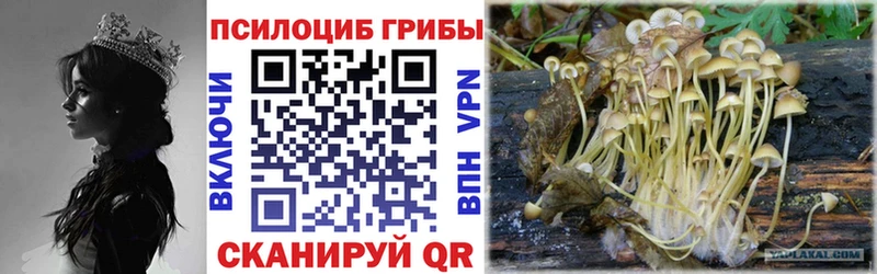 Псилоцибиновые грибы прущие грибы  Печоры 